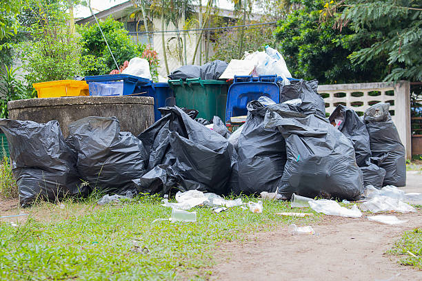 Attic Cleanout Services in Clifton, TX